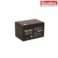 Gaston-12v-7.2ah Battery
