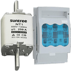 suntree-1.png suntree-1.png