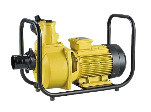 Irrigation Surface Solar DC Pumps Kenya best price SolarShop Africa
