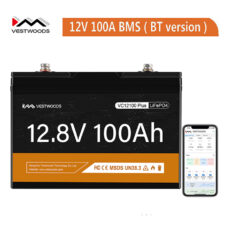 Vestwoods 12kWh-100Ah Lithium Battery