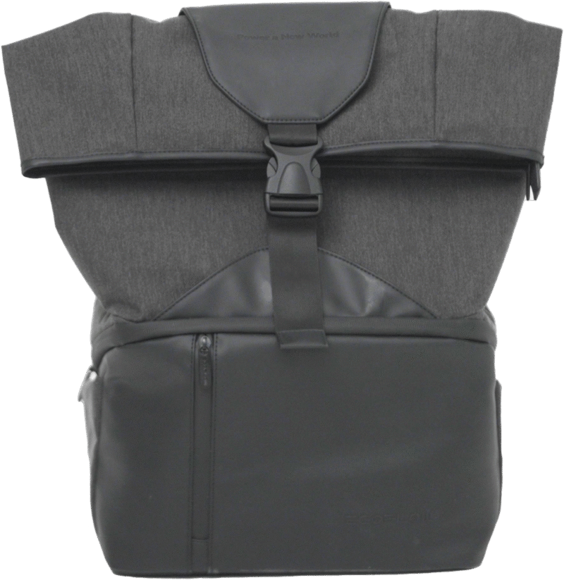 EcoFlow RIVER 2 Series Bag