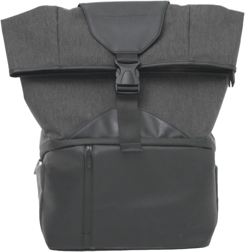 EcoFlow RIVER 2 Series Bag