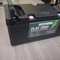 Lithium Valley 25.6V 100Ah 2.56kWh Wall Mount Lithium Battery