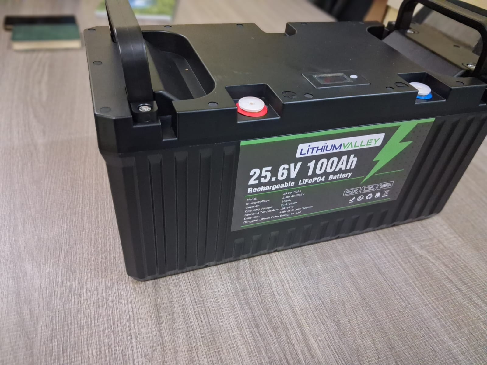Lithium Valley 25.6V 100Ah 2.56kWh Wall Mount Lithium Battery