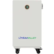 Lithium Valley 51.2V 200Ah 10.24kWh Wall Mount Lithium Battery