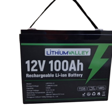 Lithium Valley 12.8V 100Ah 1.28kWh LiFePO₄ Battery