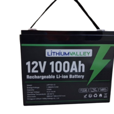 Lithium Valley 12.8V 100Ah 1.28kWh LiFePO₄ Battery
