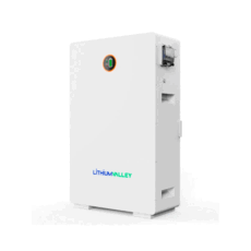 Lithium Valley W16-E5 51.2V 314Ah 16.07kWh Wall Mount Lithium Battery